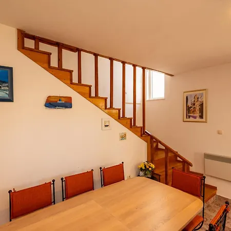 Dolphin * 亚德里亚