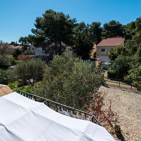 Dolphin Vila Jadrija