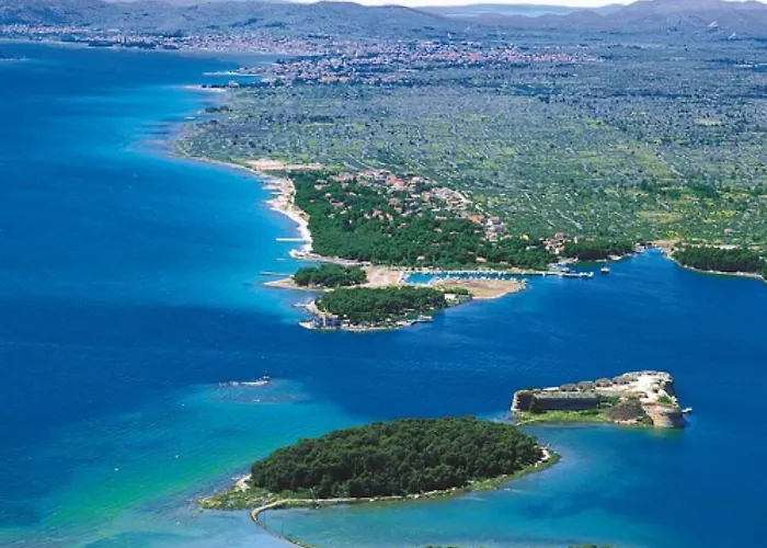 Dolphin יאדריה